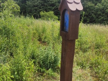 Letnie działania w Przedborskim Parku Krajobrazowym 2025, 